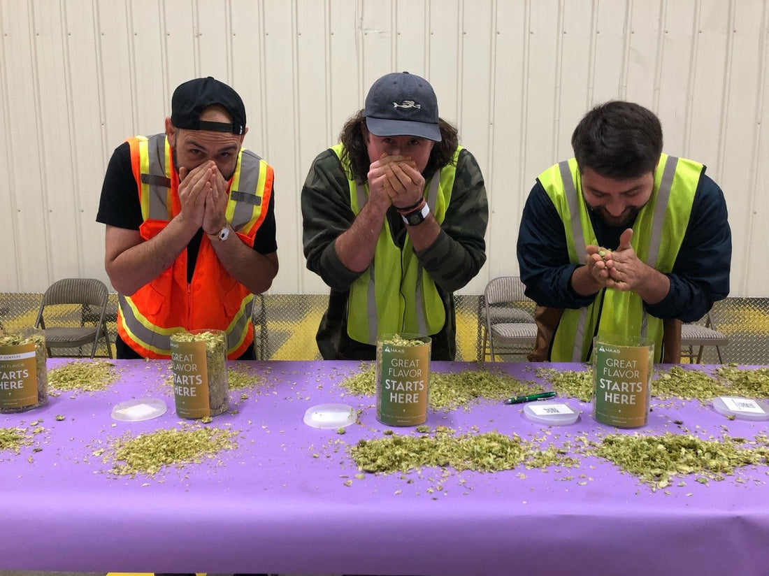 PhotoBlog: High "Hops" after 2022 Hop Selection