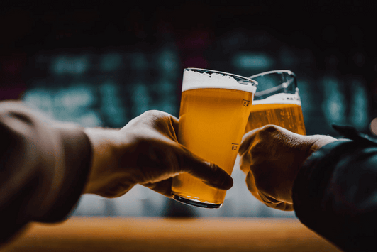Two bar patrons clinking their beer glasses together