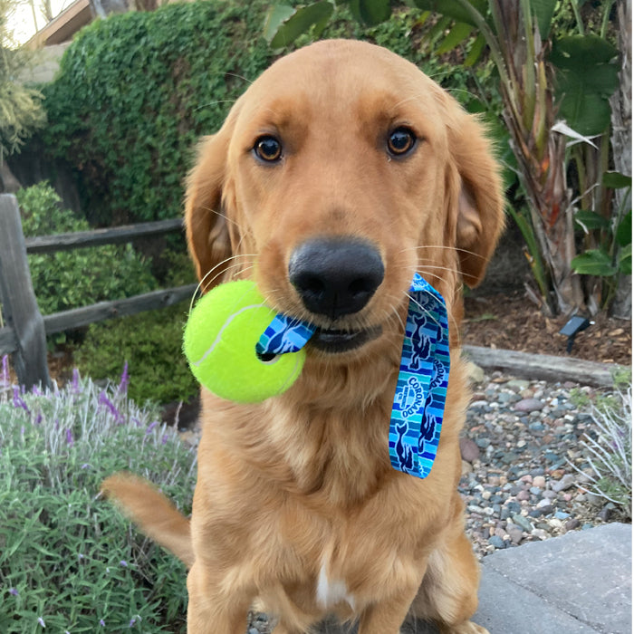 Tennis Ball Sling